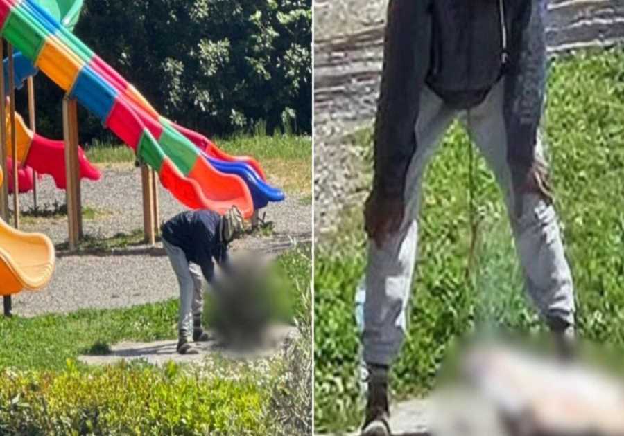 Outrage in Italy: Nigerian Migrant Arrested After Killing and Cooking Cat on Makeshift BBQ Next to Children’s Playground