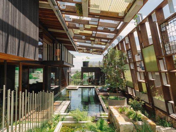 The Natural Swimming Pool at This Australian Home Also Nurtures the Landscaping