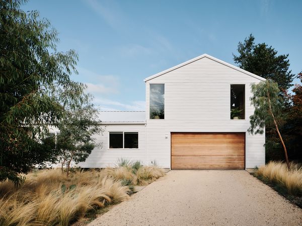 Connie Migliazzo and Jonathan Kadish bought their 1953 house in Southwest Portland in 2017, and developed a master remodeling plan for the entire half-acre lot. This included remodeling the main house and building an ADU with their friends, Helland Architecture, while Connie completely re-envisioned the front, back, and side yards.