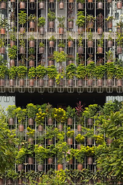 More Than a Hundred Floating Plants Form the Front of This Vietnamese Home
