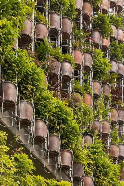 More Than a Hundred Floating Plants Form the Front of This Vietnamese Home