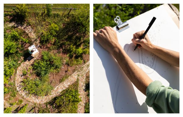 The plants are tracked on a spreadsheet that details not only their species and common names but their role in the forest and notes about their quirks and other characteristics.