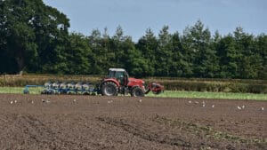 Hauliers, hotels and farms warn they are ‘in survival mode’ as fuel costs spiral