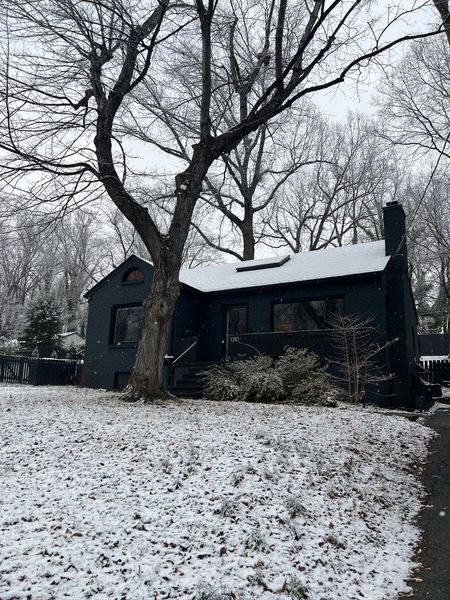 The homeowners decided to paint the exterior brick Regent green, which some neighbors have mistaken for black. But Katie and JT enjoy the shade's ephemeral quality, appearing lighter or darker in different conditions.