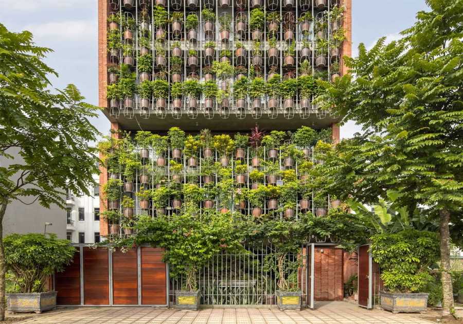 More Than a Hundred Floating Plants Form the Front of This Vietnamese Home