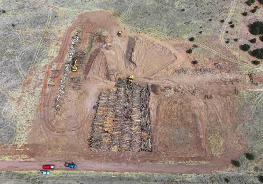 Why Are We Burying All This Wood?