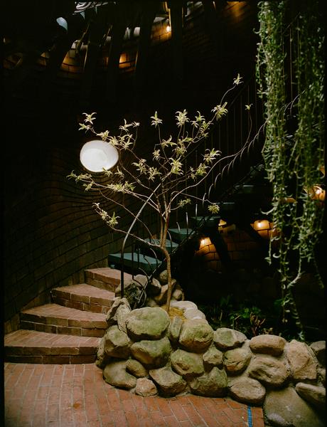 The open-air foyer of the Whale House leads in three directions: to the left, the sauna and pool; straight ahead, inside the home; and to the right, a stair that hugs the cedar wall as it spirals upward.