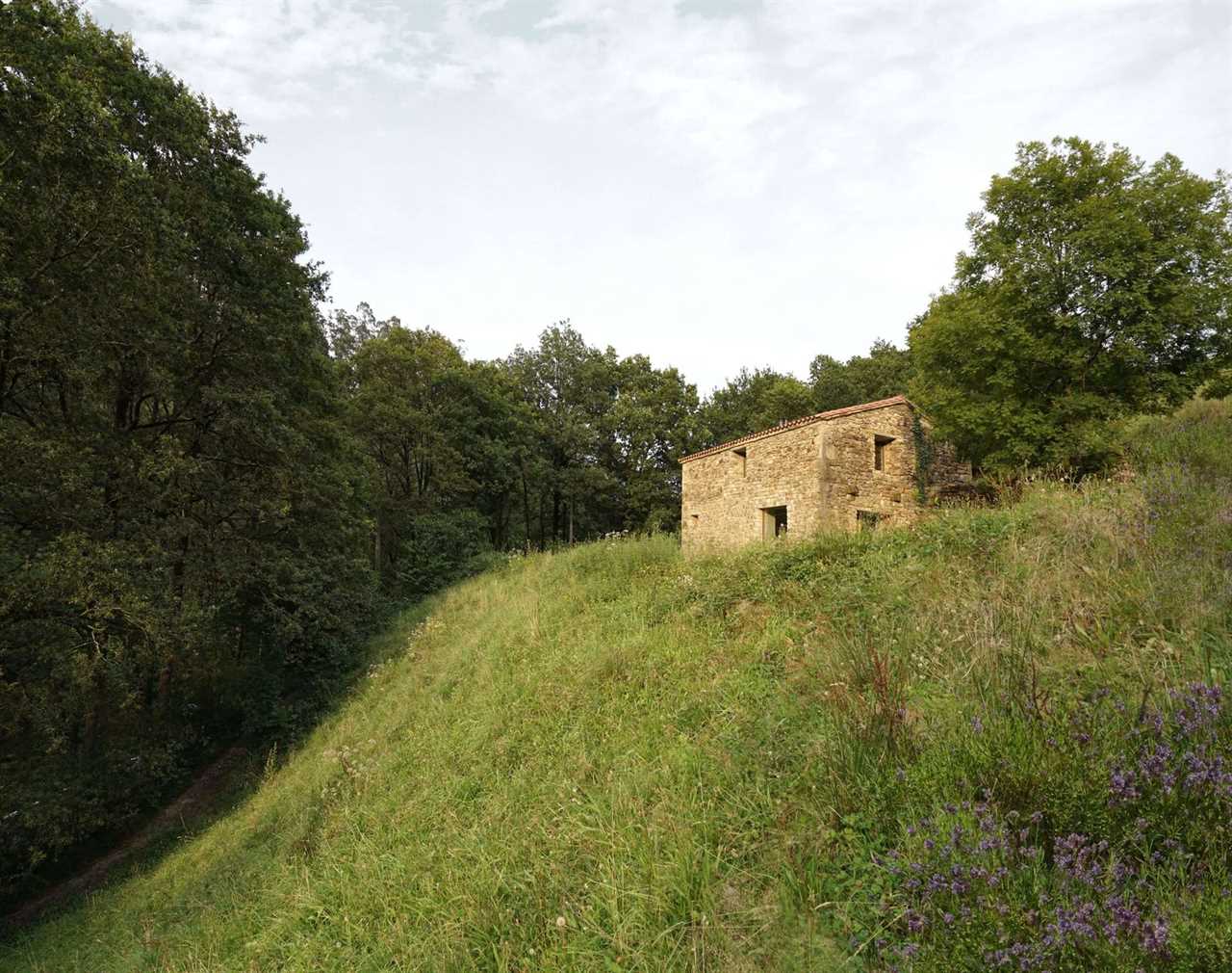 A New Envelope Turns This Old Stone Stable in Spain Into a High-Performing Home