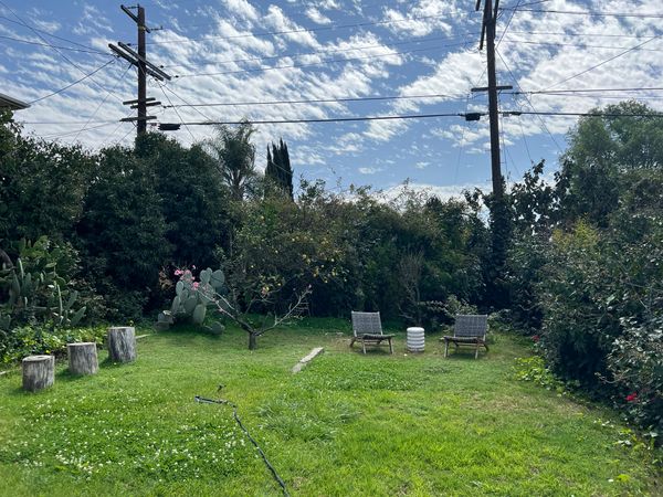 Budget Breakdown: With $94K, They Turned Their Cracked Concrete L.A. Backyard Into a Serene Meadow