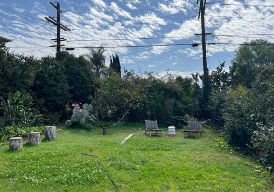 Budget Breakdown: With $94K, They Turned Their Cracked Concrete L.A. Backyard Into a Serene Meadow