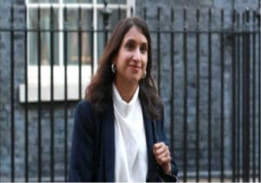 Energy minister accused of misleading MPs over grid safety limits