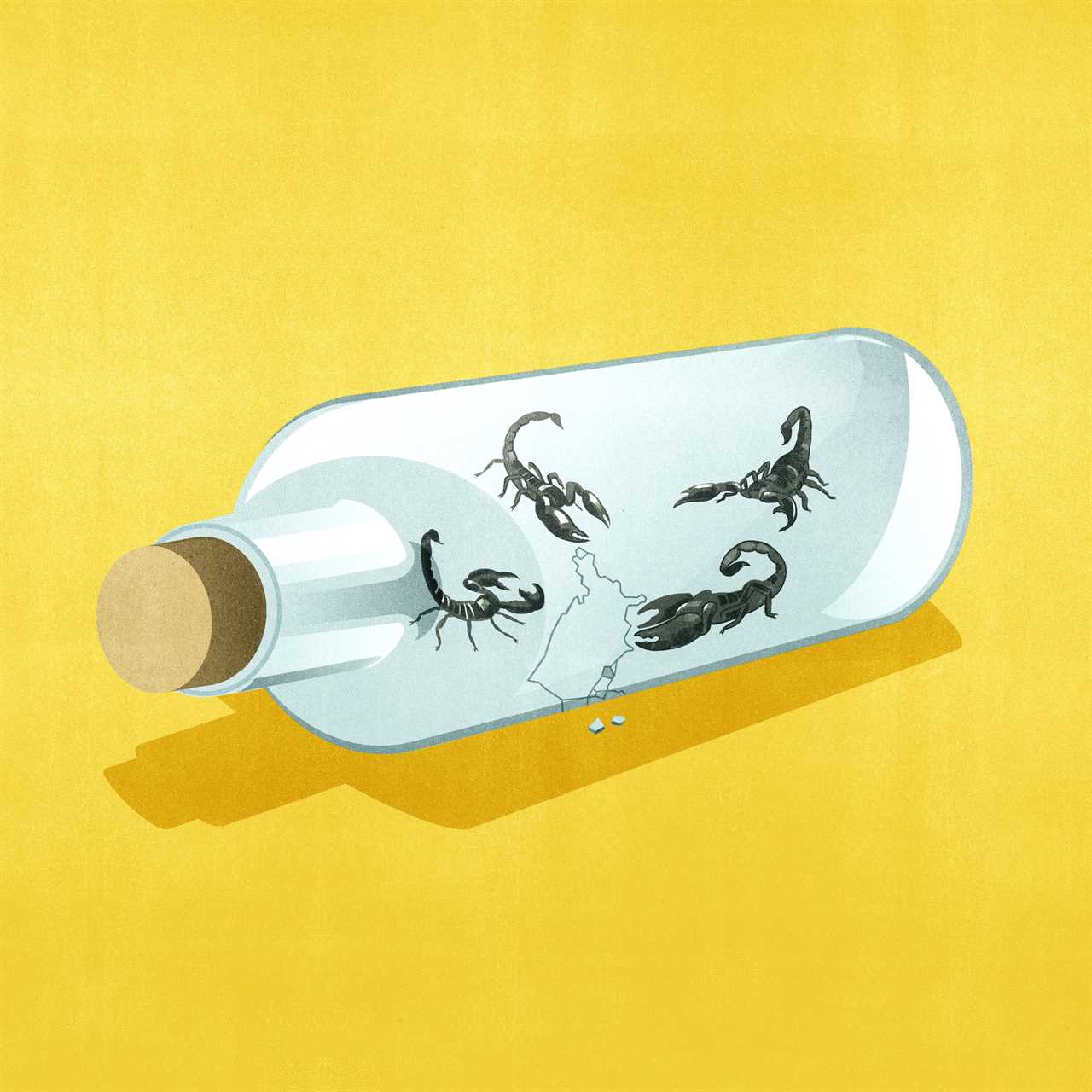 outline of the United States inside a corked glass bottle with scorpions