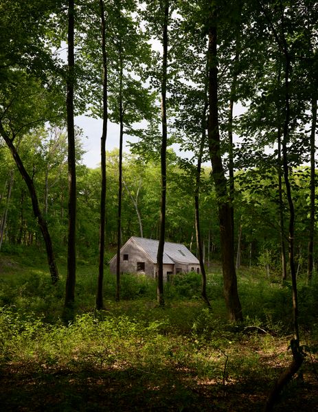 Their Collection of 60-Plus Plants Defined the Design of Their Hudson Valley Home