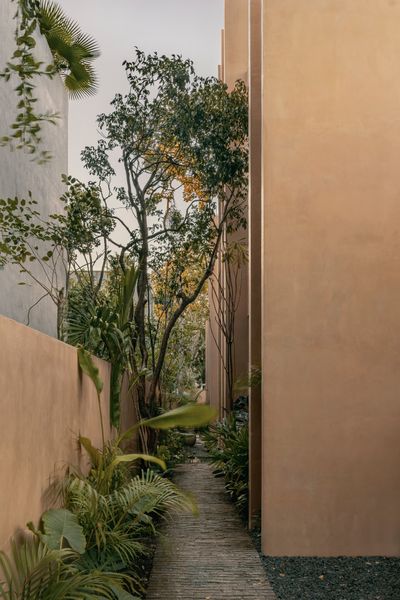 Dramatic Curves Define This Sculptural Tulum Home Seeking $1.6M