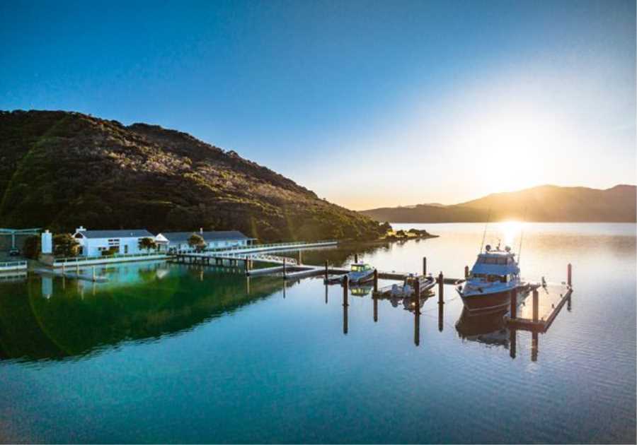 Is This Your Chance to Call New Zealand’s Idyllic Coastline Home?