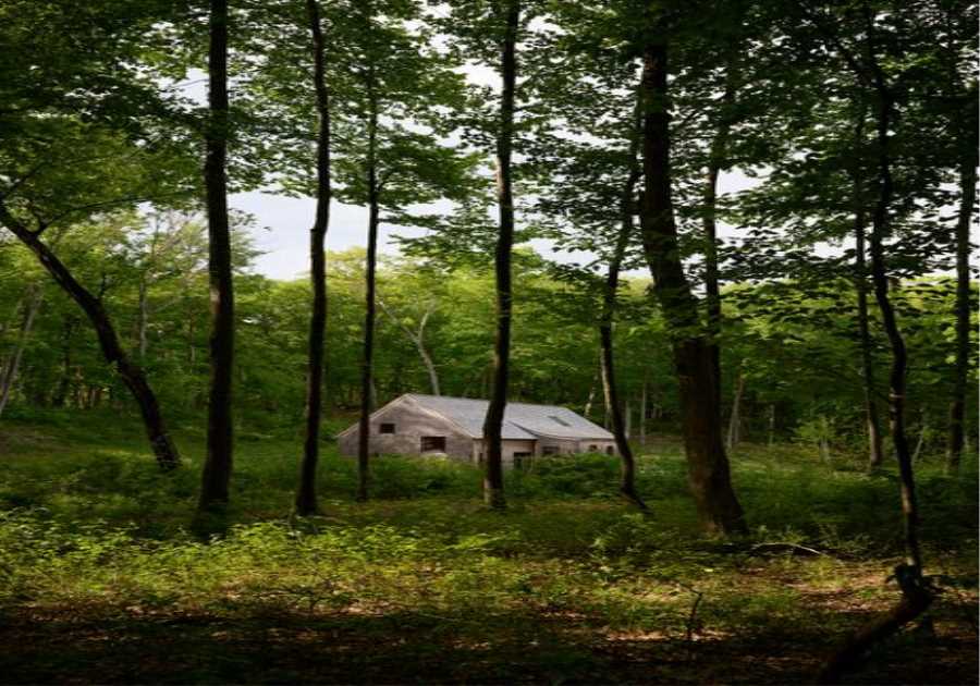 Their Collection of 60-Plus Plants Defined the Design of Their Hudson Valley Home