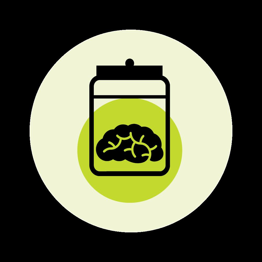 Six wild ideas for perpetuating your mind