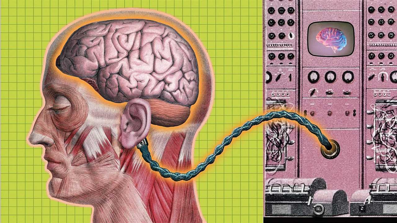 Six wild ideas for perpetuating your mind