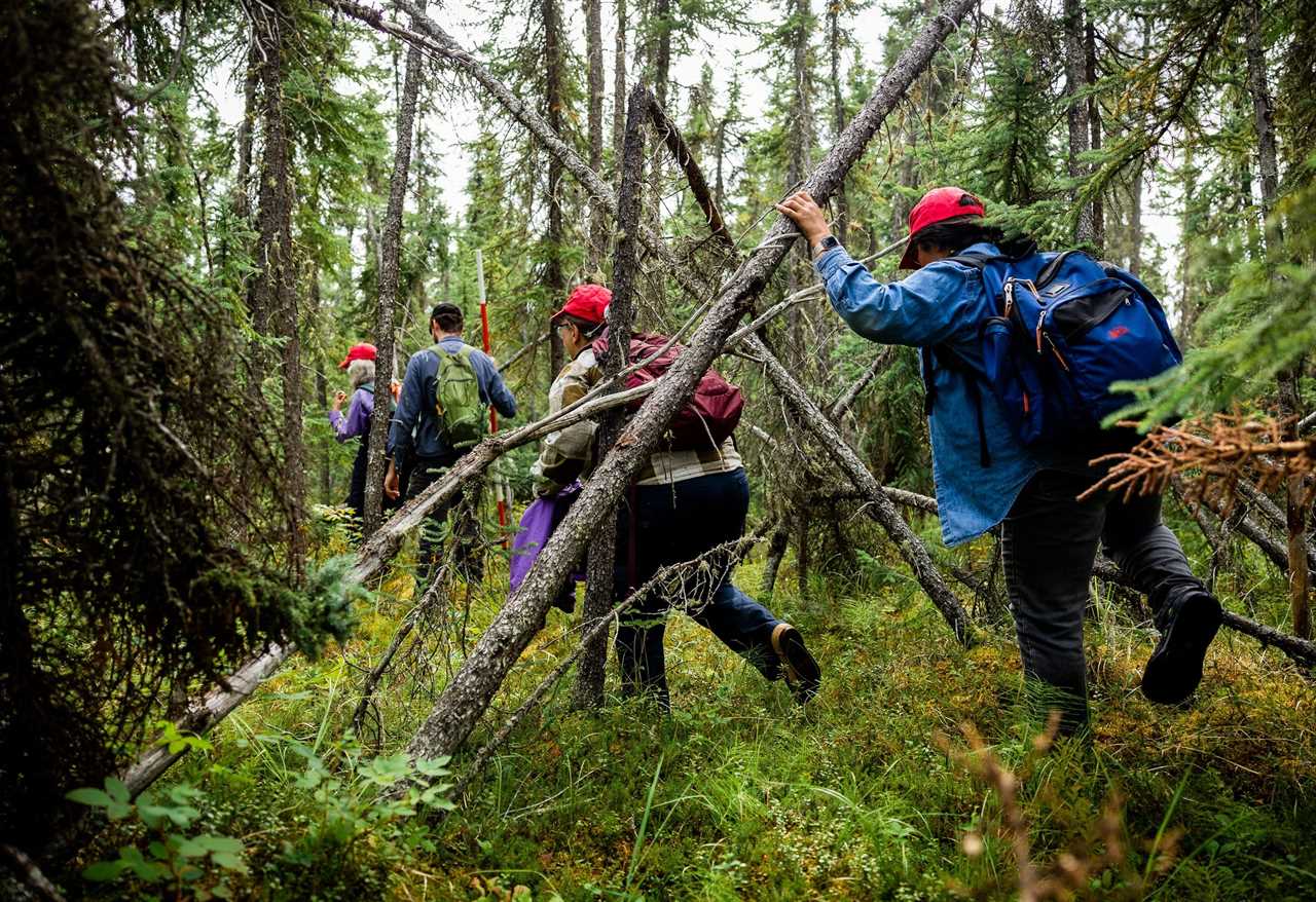 Inside the quest to combat Arctic fires and save the planet’s frozen carbon