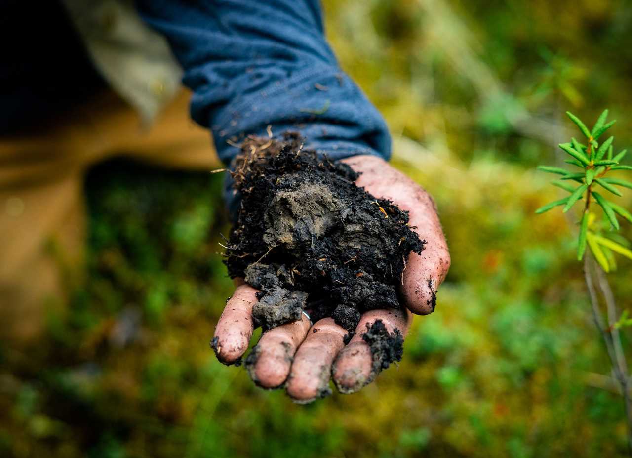 Inside the quest to combat Arctic fires and save the planet’s frozen carbon