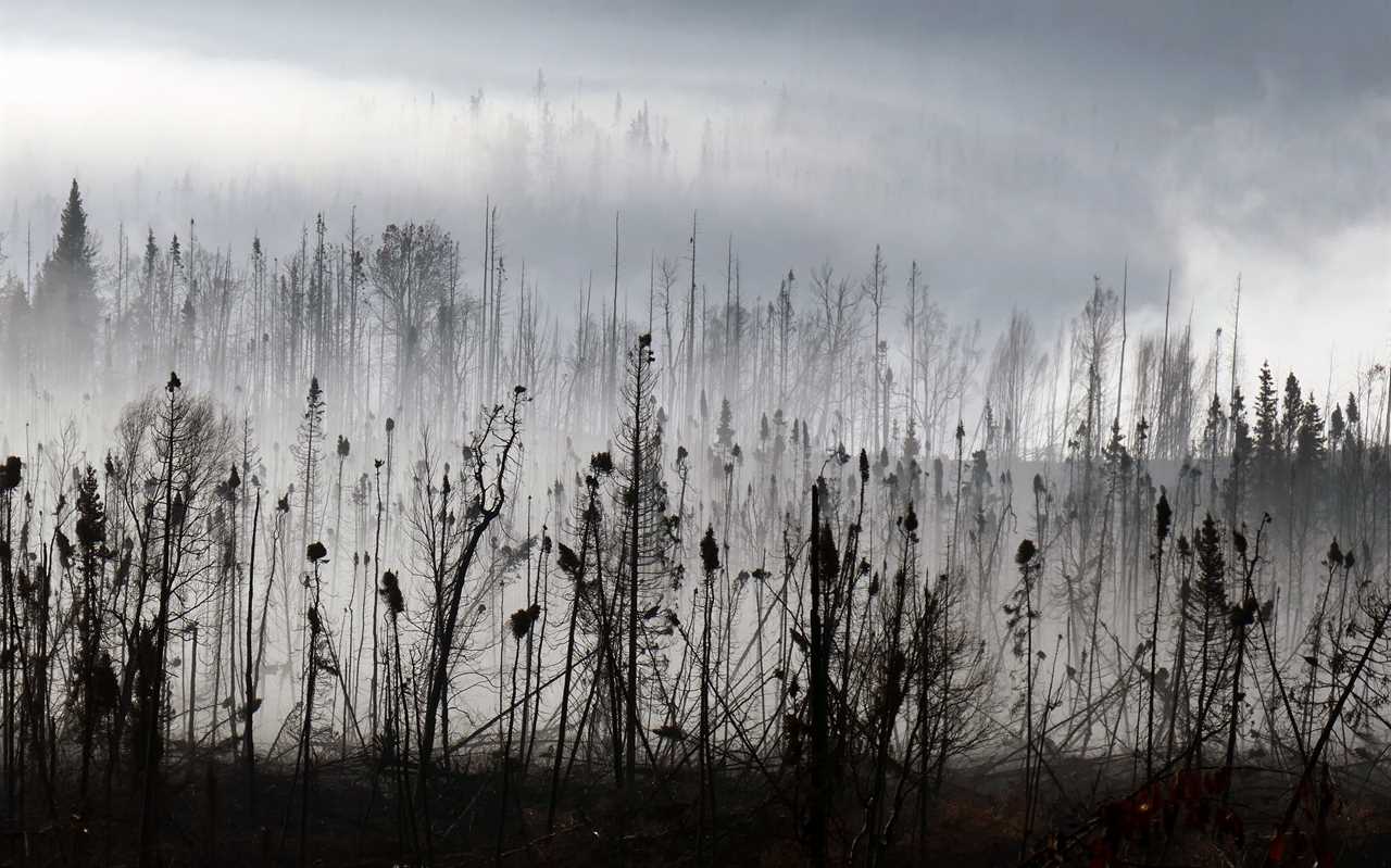 How to study a swiftly melting climate disaster