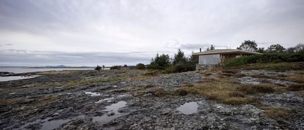 Entire Trees—Roots and All—Were Used to Build This Coastal Norwegian Home