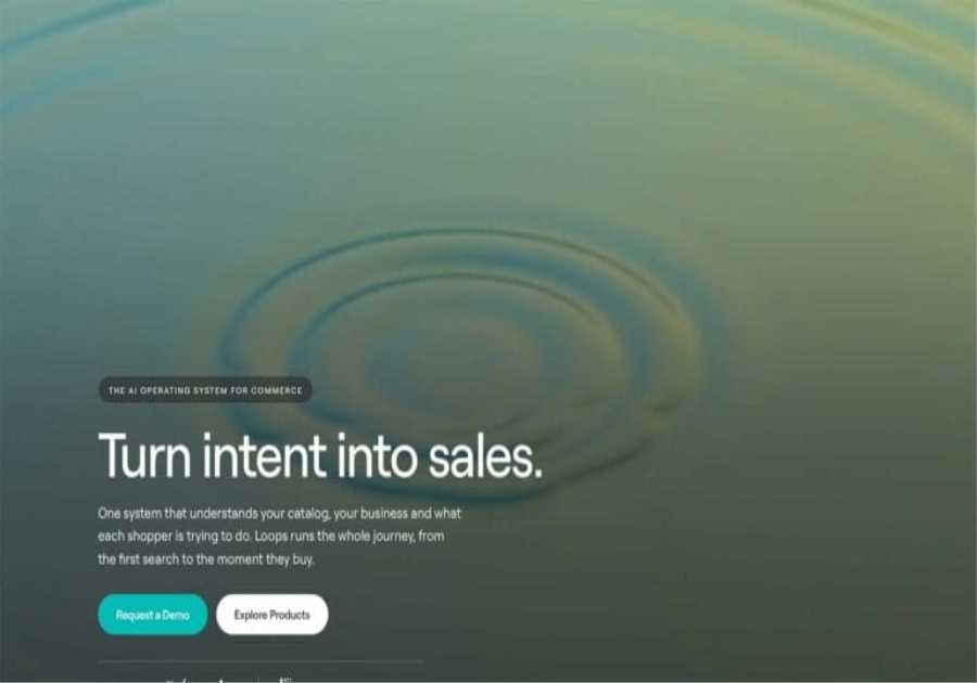 Loops raises $3.5m to build an AI operating system for retailers
